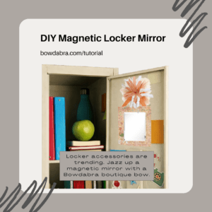 Magnetic Locker Mirror (Instagram)