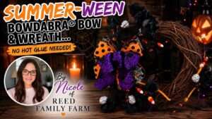 summer-ween wreath and bow
