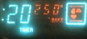 Bake at 250F for 20 Minutes
