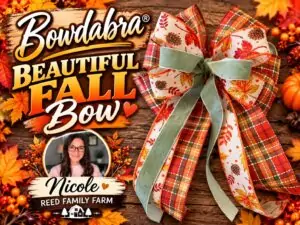 How to make a Beautiful Fall  Bow with Long Tails