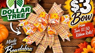 $3 bow