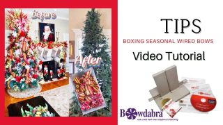 322940245_503821441632200_2361431042892962346_n