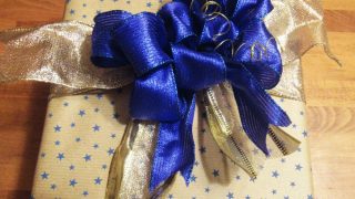 Birthday-bow-bowdabra-6-steph-ackerman