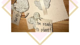 Recycled Paper Seed Bombs