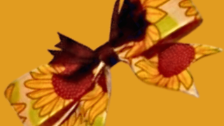 Untitled (Instagram Post (45)).png-2