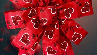 Valentine's Day bow 2