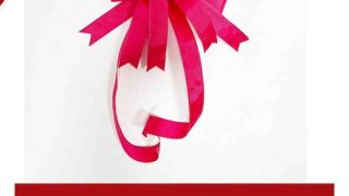 funky bow tutorial 2