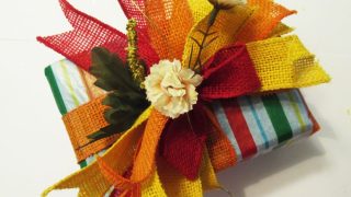 graduation-package-bowdabra-7-steph-ackerman