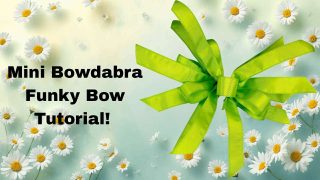 mini Bowdabra funky bow