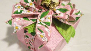 package-bowdabra-steph-ackerman