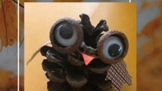 Pine Cone Owl