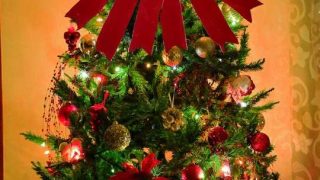 velvet tree topper 2